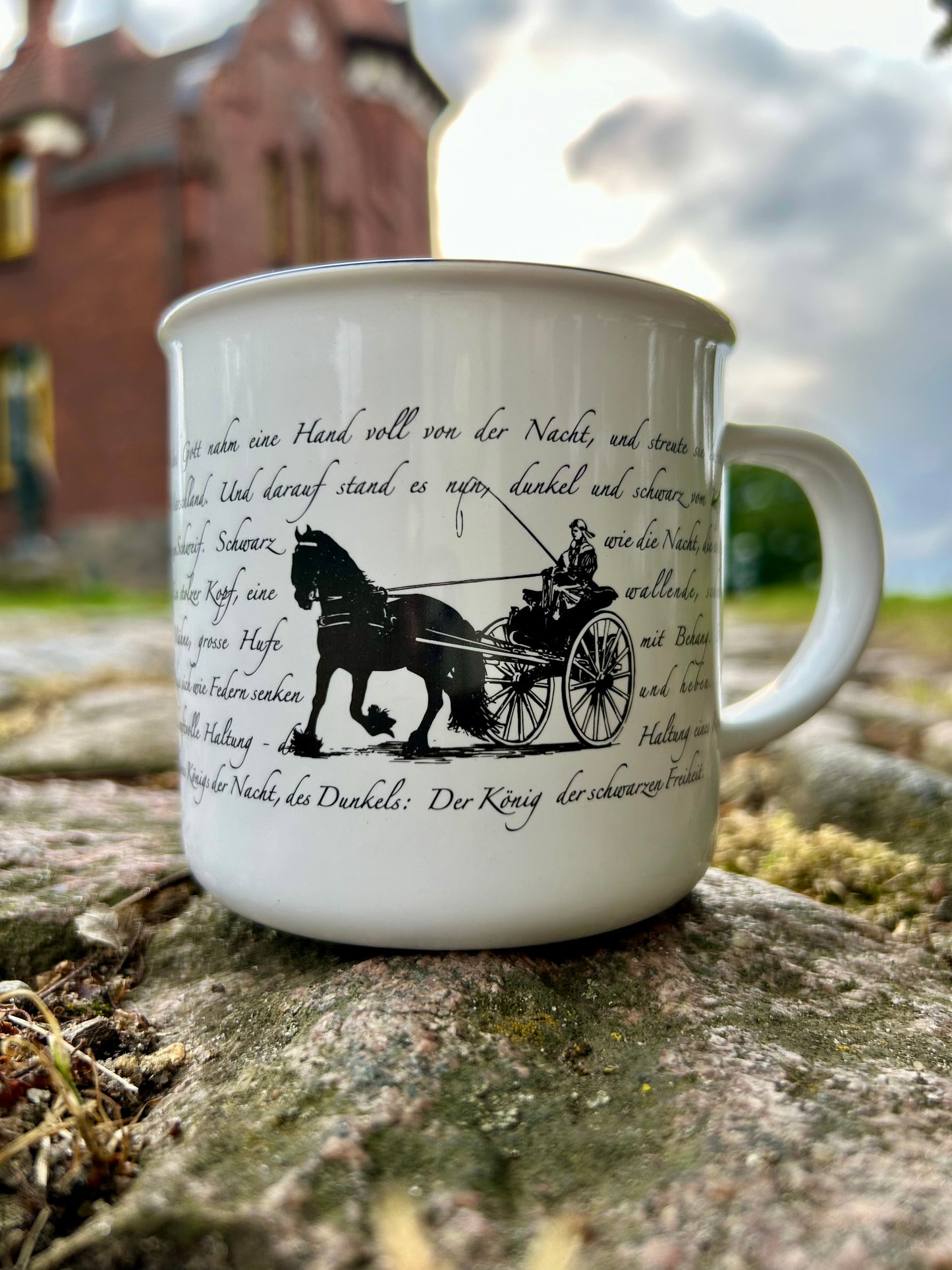 DFZ-Motivtasse - "Friese vor der Sjees"