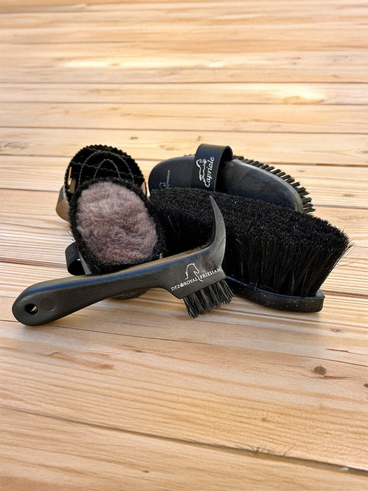 Das DFZ-Grooming Set - Bürsten-Set Noir von HAAS