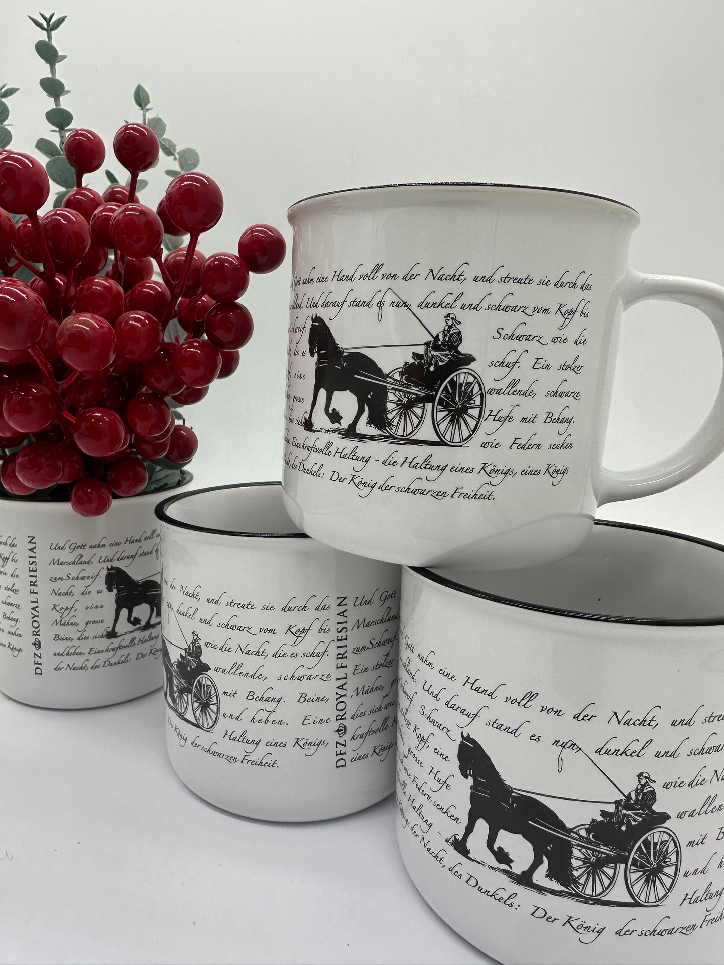 DFZ-Motivtasse -  "Friese vor der Sjees"