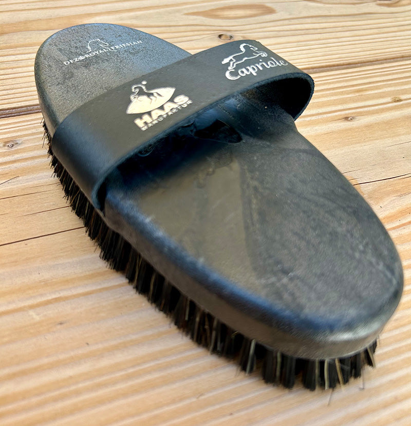 Das DFZ-Grooming Set - Bürsten-Set Noir von HAAS