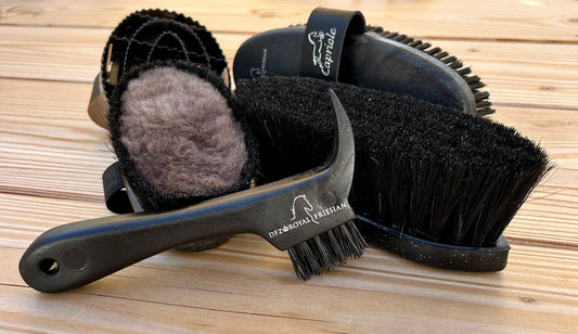 Das DFZ-Grooming Set - Bürsten-Set Noir von HAAS